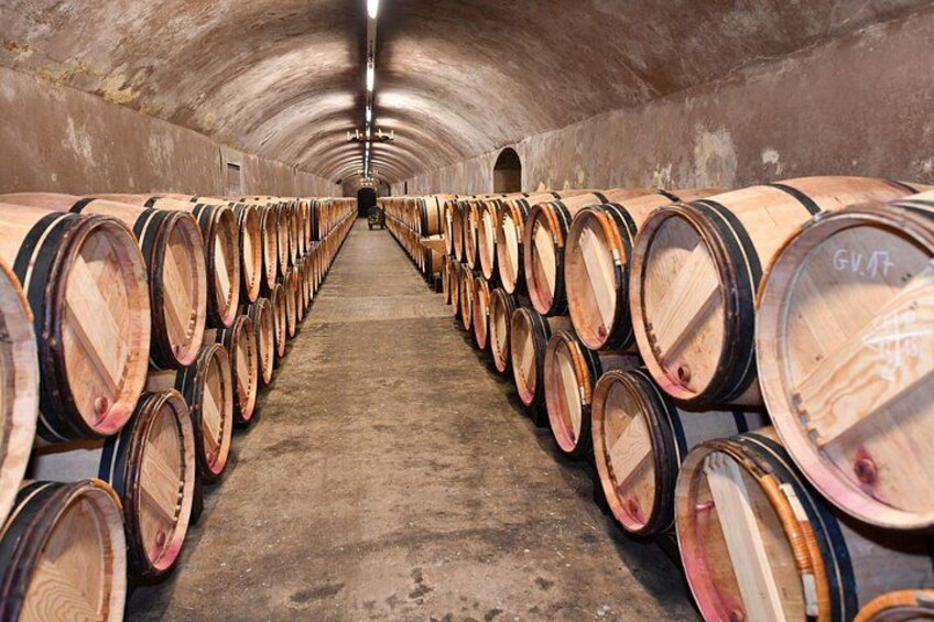 Private Tour on the Route des Grands Vins du Médoc with Visits and Tastings 2