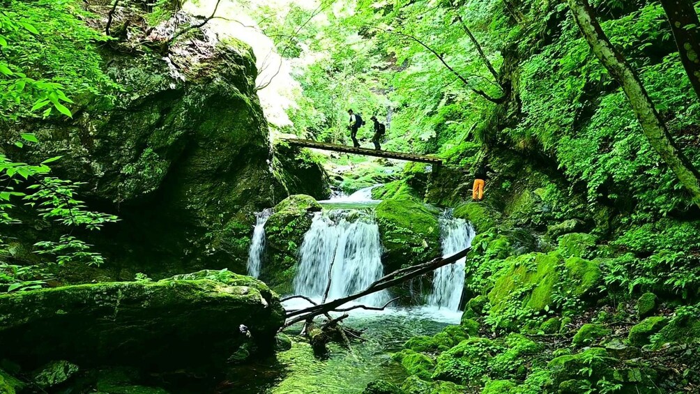 A waterfall in a lush forest with moss-covered rocks and dense greenery. 1