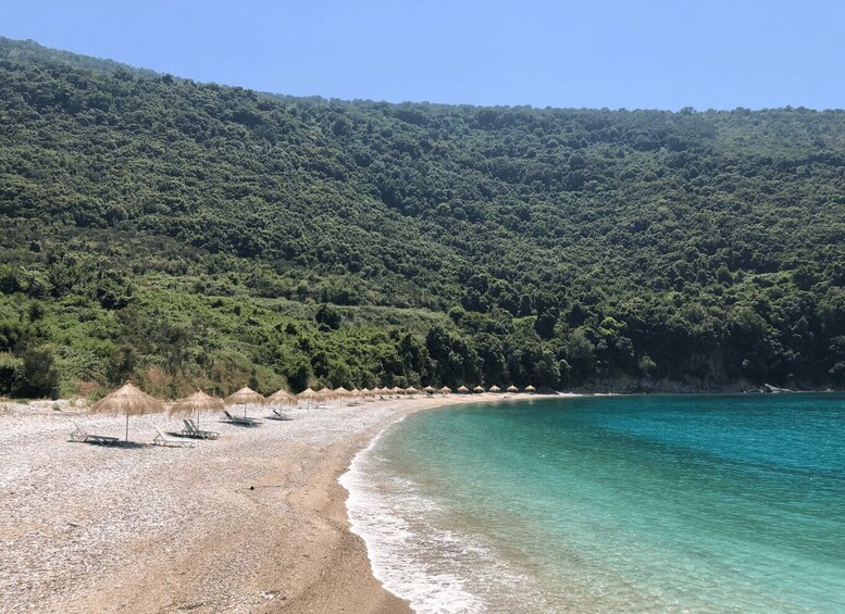 A beach with clear turquoise waters, a pebbly shore, and a forested hillside. 2