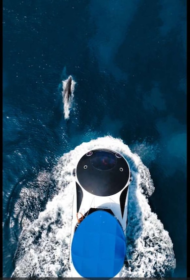 A boat moving through water with a dolphin nearby. 1
