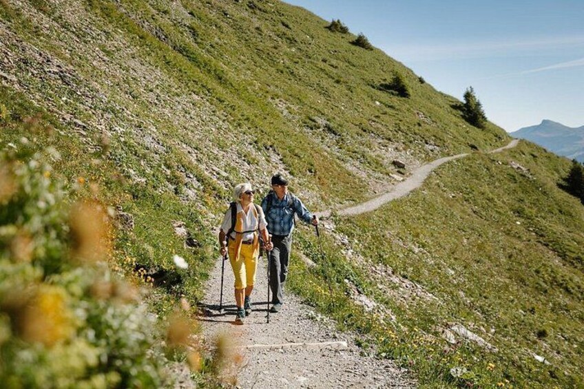 Adelboden Easy Flower Trail on Vogellisi Mountain 4