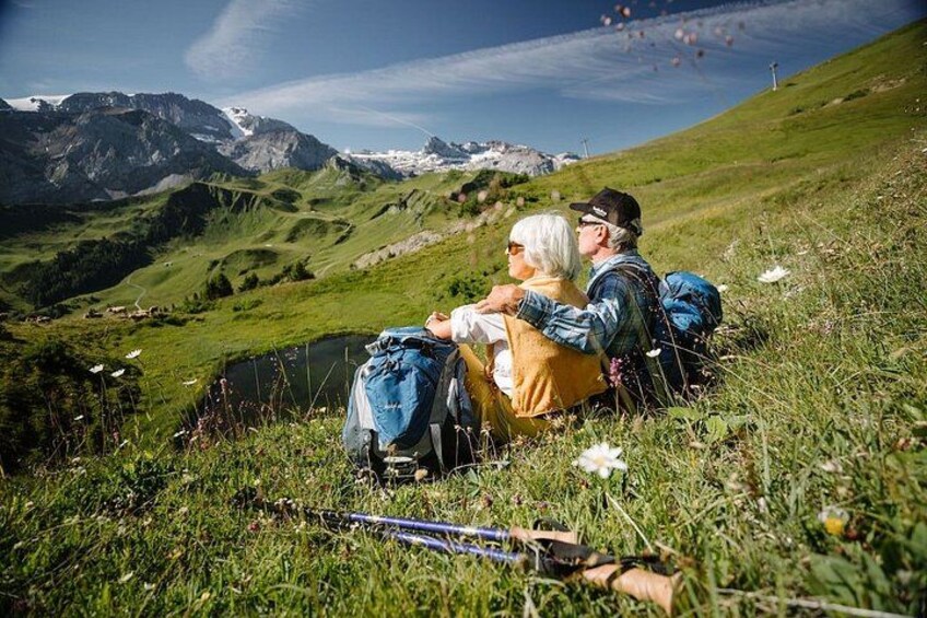 Adelboden Easy Flower Trail on Vogellisi Mountain 5