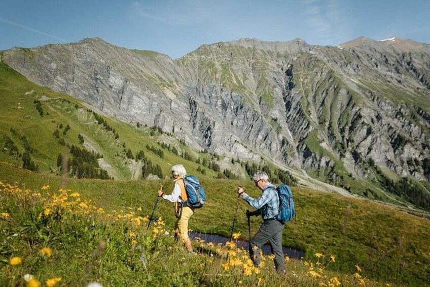 Adelboden Easy Flower Trail on Vogellisi Mountain 2