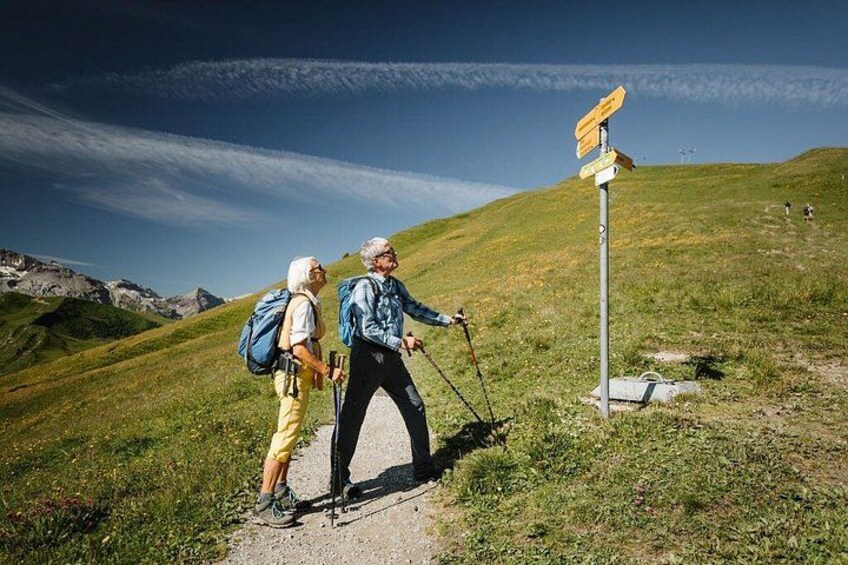 Adelboden Easy Flower Trail on Vogellisi Mountain 3