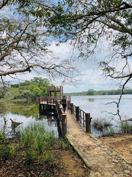 A wooden dock extending into a calm lake, surrounded by trees and greenery. 1