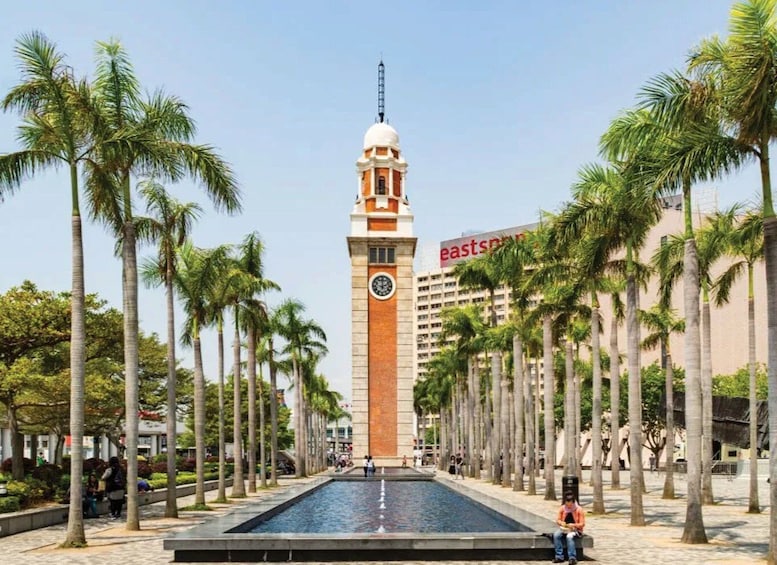 A clock tower, palm trees, and a water feature in a plaza. 3