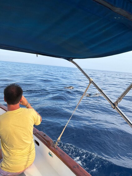 Picture 45 for Activity Giardini Naxos: Sunset Boat with Dolphins, Drinks & Dance 4