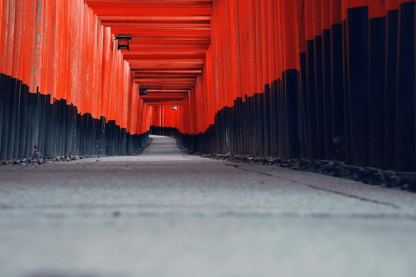 A pathway lined with red torii gates leading into a traditional Japanese temple. 5