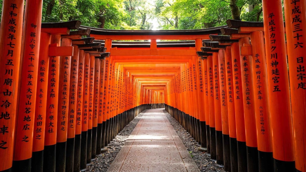 A pathway lined with orange torii gates leading into a forest. 4