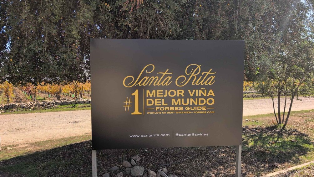 Picture 3 for Activity Santiago: Santa Rita Premium Winery Tour & 5 Wine Tasting 3