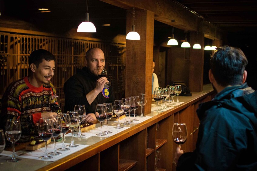 A wine tasting event with several glasses of red wine on a bar counter. 1