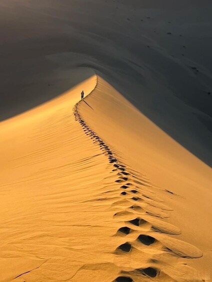A person walking along a sand dune trail. 2
