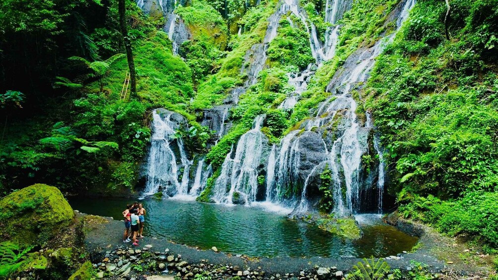 A waterfall cascading into a pool surrounded by lush greenery. 4
