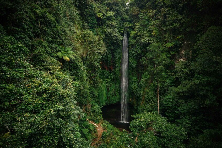 A waterfall surrounded by dense forest. 1