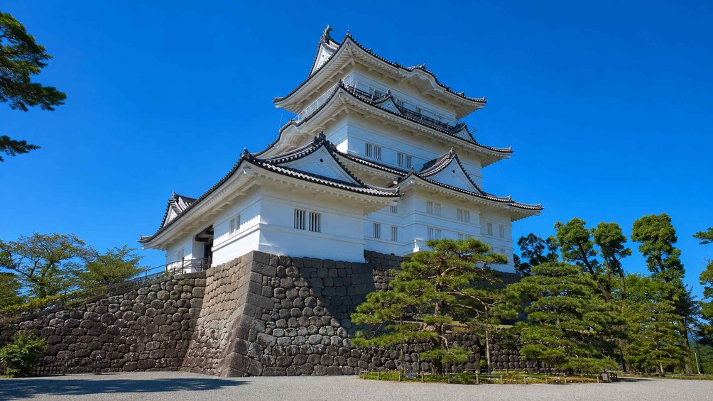 Picture 1 for Activity Odawara: Castle, Samurai History & Local Food Walk 4