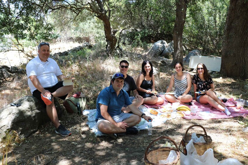 A group of people picnicking in a wooded area with picnic blankets and food. 2