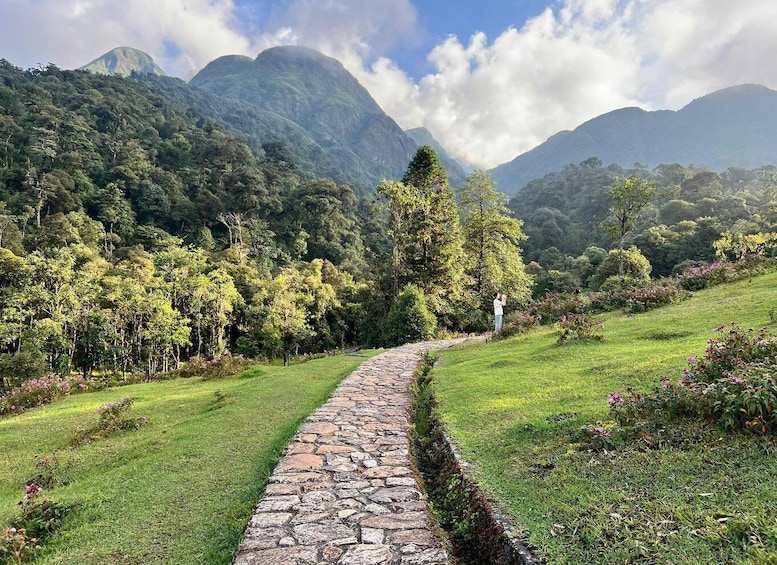 A stone pathway through a lush green landscape with mountains in the background. 5