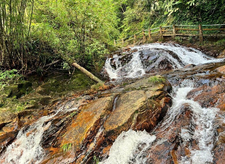A rocky waterfall with a wooden bridge in a forested area. 4