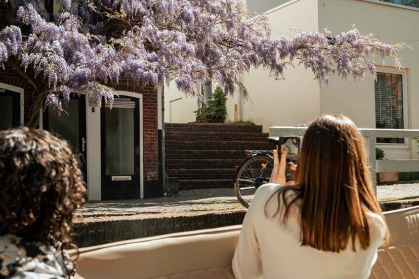 A person taking a photo of a building with a purple flowering tree in front. 5