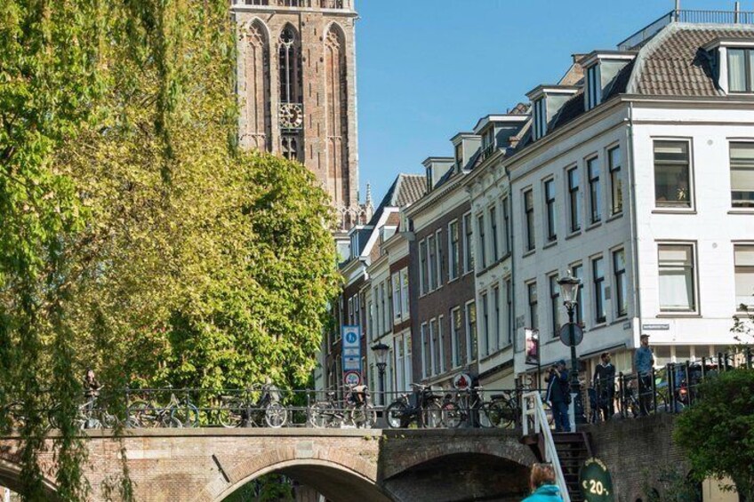 A stone bridge, a tree, and historic buildings. 2