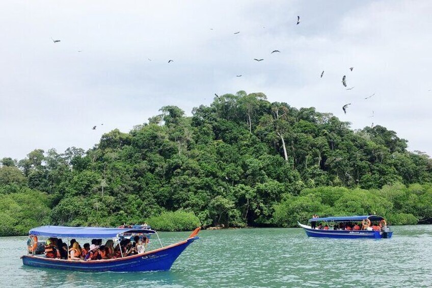 Two blue boats on calm water with passengers, surrounded by dense green forest and birds in the sky. 2