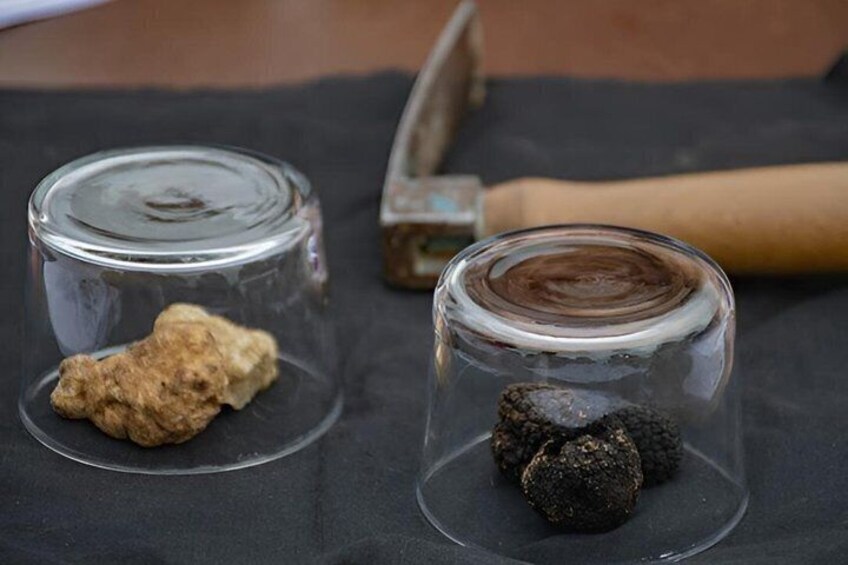 Two glass jars with rocks on a dark surface, and a hammer in the background. 5
