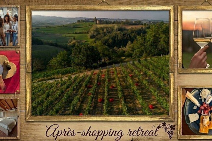 A vineyard landscape with rows of grapevines, a framed photo collage, and a cheese platter. 1