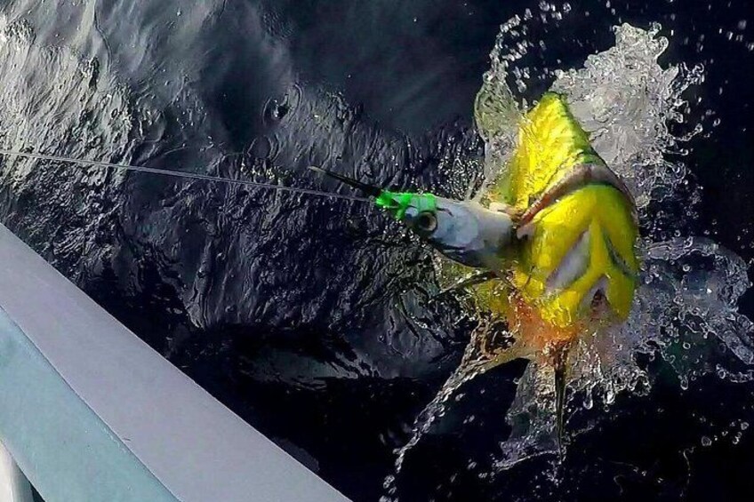 fishing in Bahias de Huatulco 1