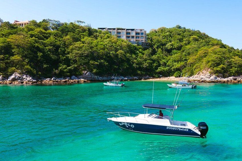 fishing in Bahias de Huatulco 5