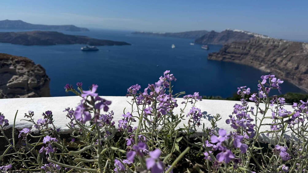 Purple flowers in the foreground, a coastal landscape with cliffs, and a view of the sea with boats in the distance. 2