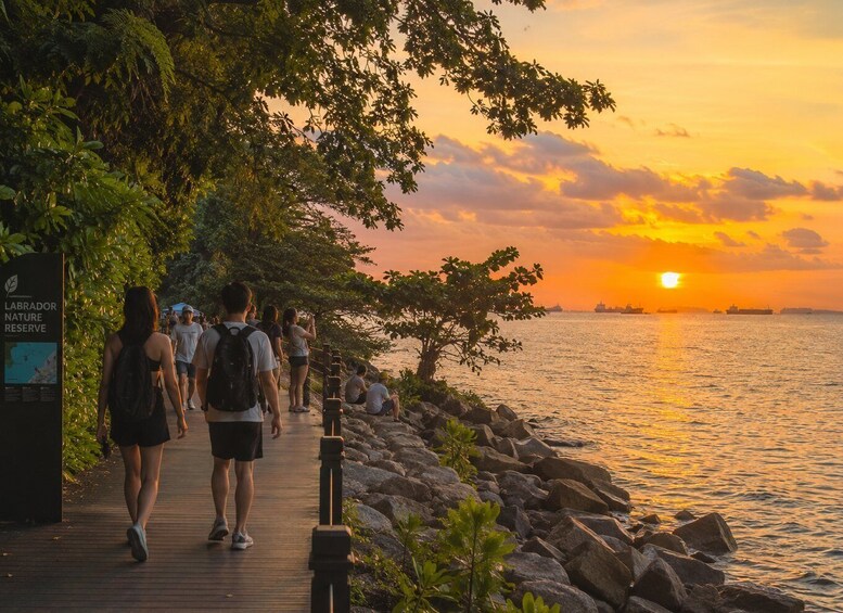 Picture 2 for Activity Singapore: Labrador Nature &Coastal Hiking Tour & Expe-Guide 2