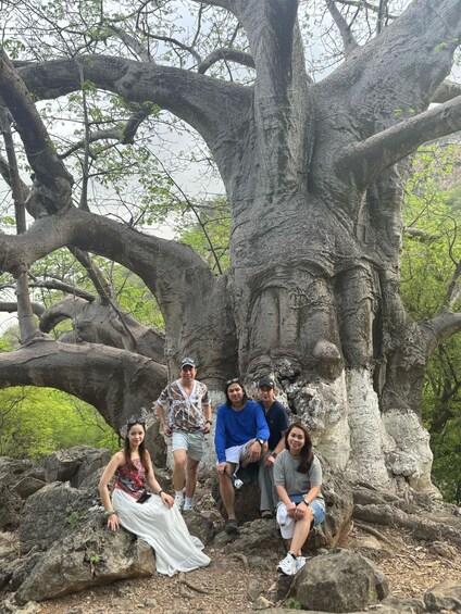 Un gruppo di persone che posa sotto un grande albero con radici e rami robusti. 2
