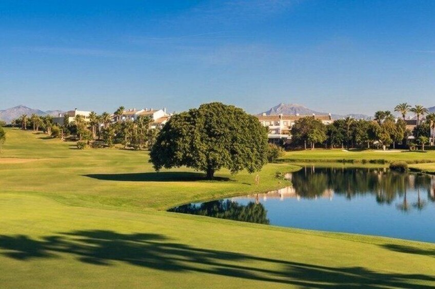 A golf course with a pond, trees, and houses in the background. 2
