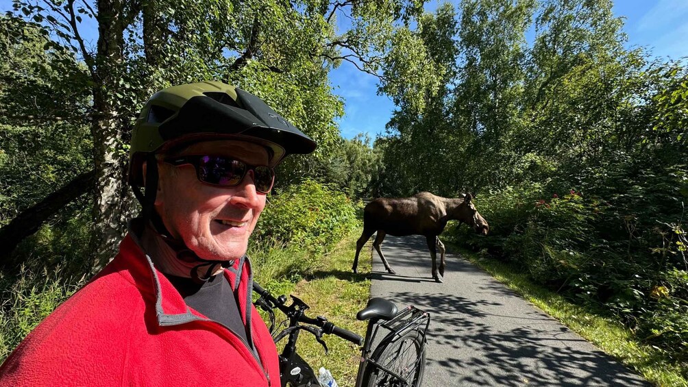 A person in a red jacket and helmet on a bike path with a moose in the background. 1