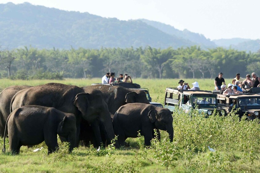 A safari with elephants and tourists in a grassy field with mountains in the background. 2