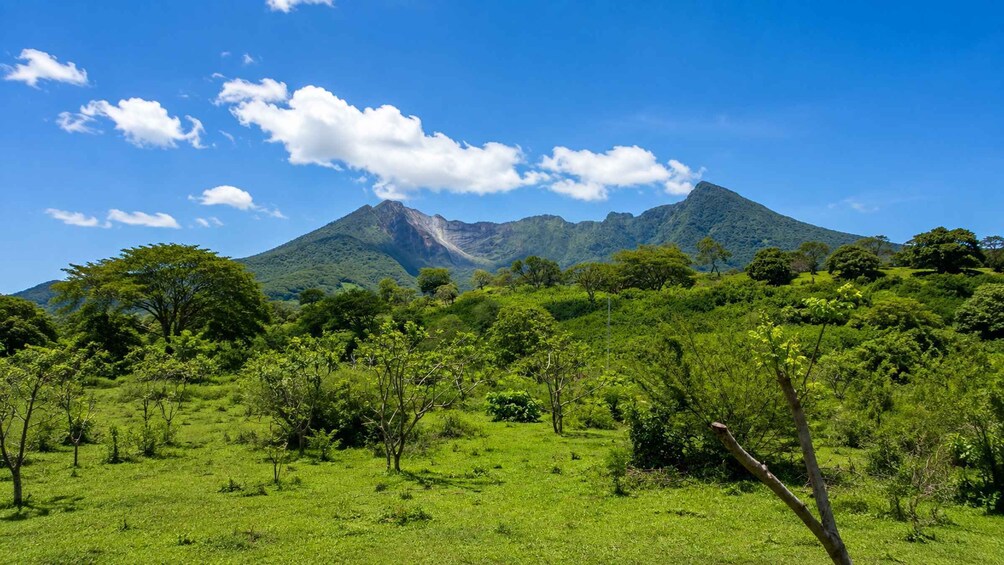 Picture 14 for Activity Granada: Mombacho Volcano ATV Tour with Wildlife Guide 3