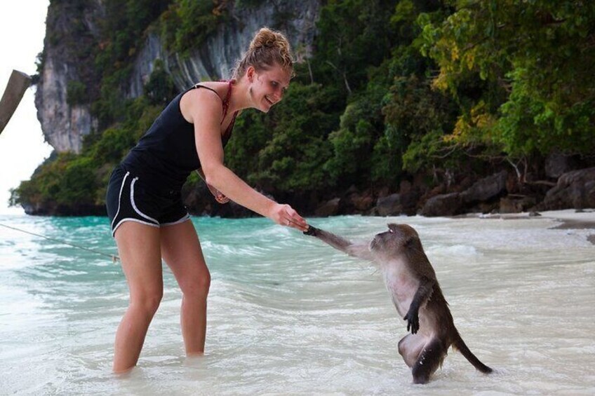 A person in a swimsuit interacting with an otter on a beach with clear turquoise water and a rocky cliff in the background. 5