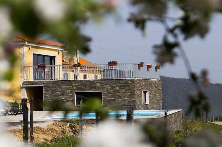 Douro Full Day Tour with Wine Tasting and Lunch 4