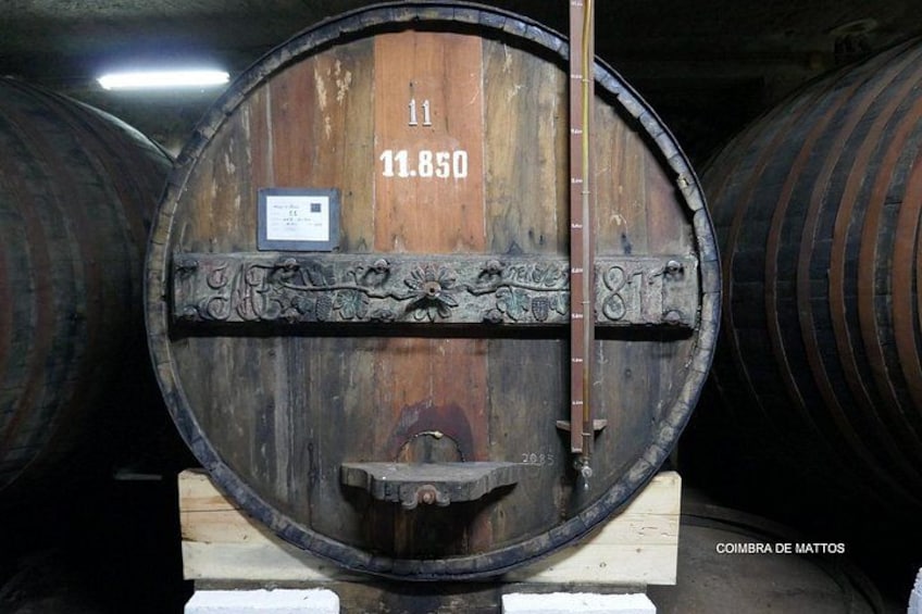 Douro Full Day Tour with Wine Tasting and Lunch 3