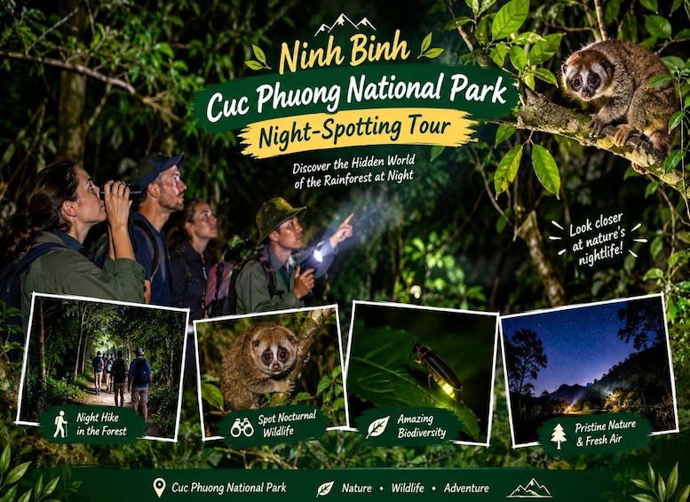 Escursione serale per avvistare la fauna selvatica nel Parco Nazionale di Cuc Phuong, con un'escursione notturna, animali notturni e un cielo stellato. 1