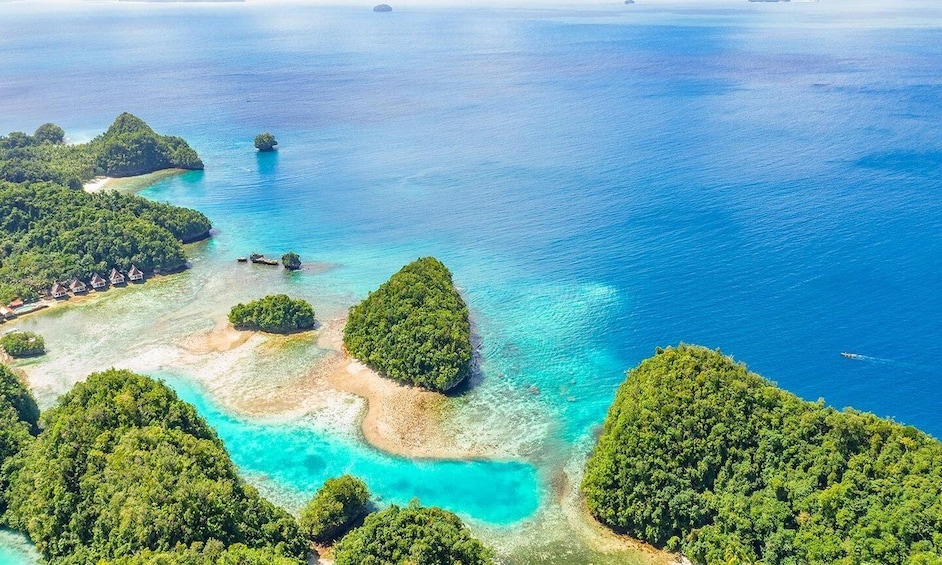 An aerial view of a tropical island with clear turquoise waters, lush greenery, and a small settlement. 5