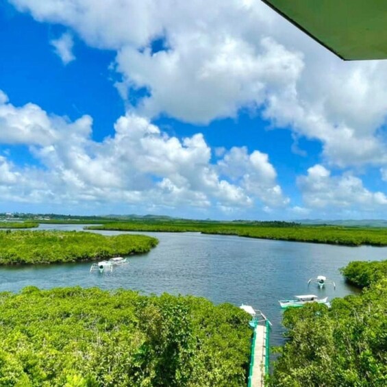 A river surrounded by dense green vegetation, boats on the water, and a clear blue sky with clouds. 4