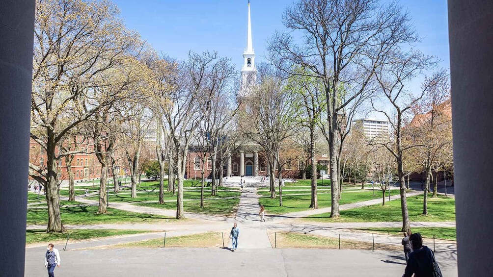 A park with a central pathway, trees, and a distant building with a spire. 3