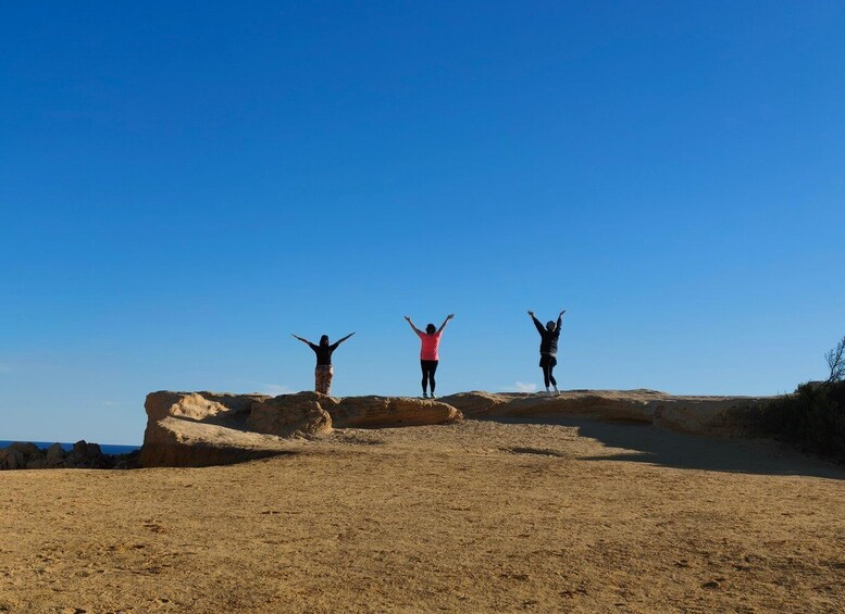 Picture 18 for Activity From Perth: Koala, Lancelin & Pinnacles Desert Day Tour 5