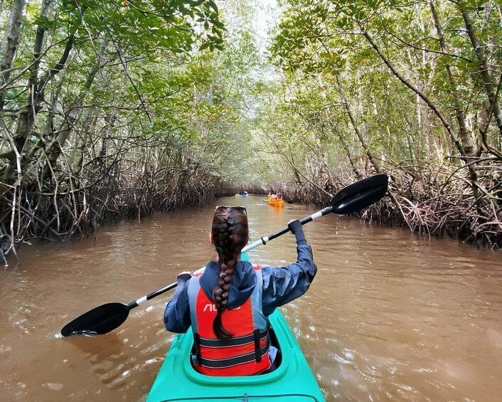 A person kayaking through a mangrove forest. 3