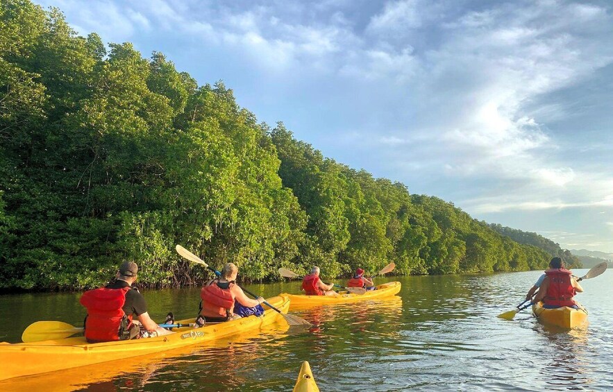 A group of people kayaking on a river surrounded by dense greenery. 4