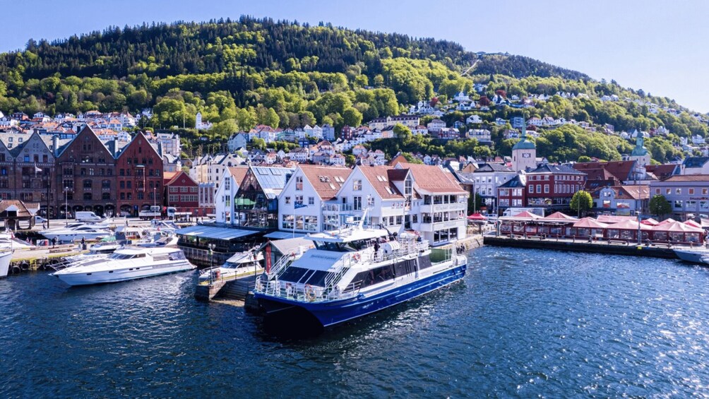 A river with boats docked, a large blue and white ship, and a town with historic buildings and a hill in the background. 2