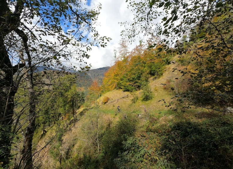 A hilly landscape with autumn foliage, a clear sky, and a distant mountain range. 5