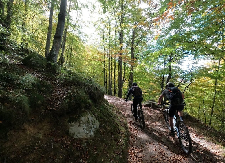 Two mountain bikers on a forest trail surrounded by trees with green and yellow leaves. 3