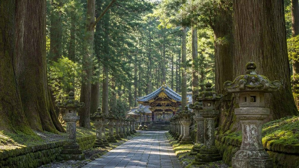 A forested pathway leading to a traditional building with a tiled roof. 3